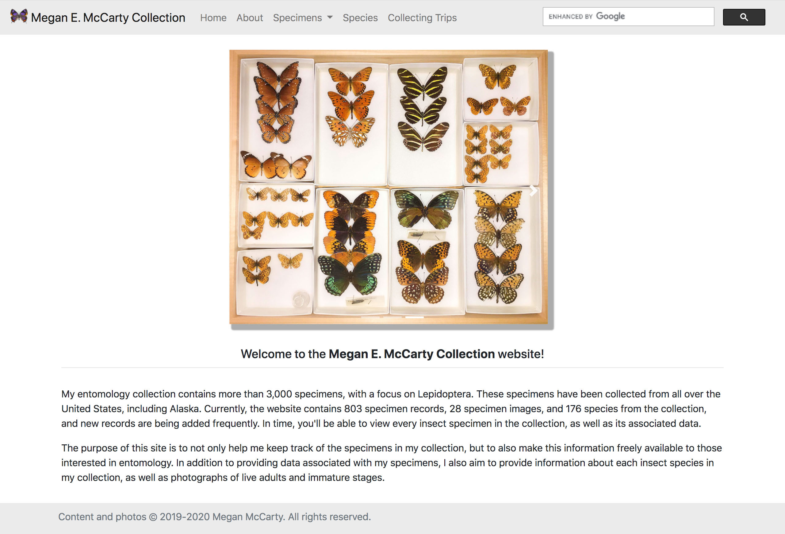 A screenshot of the home page of the Megan E. McCarty Collection entomology website